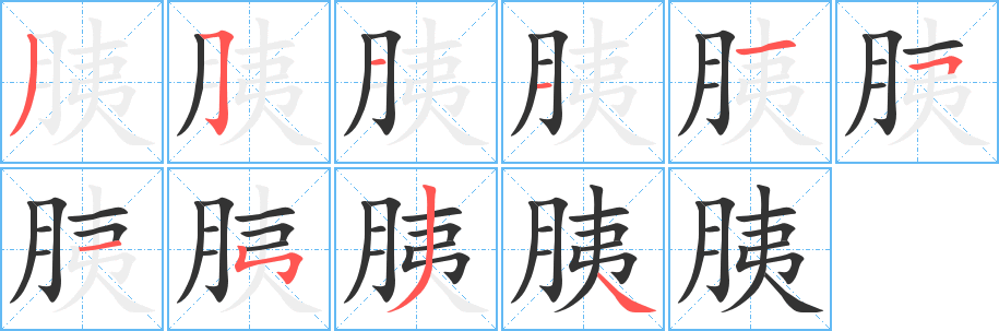 胰的笔顺