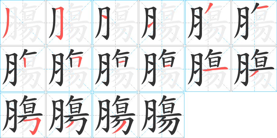 膓的笔顺