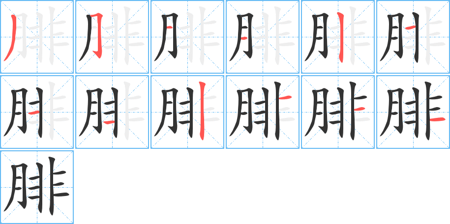 腓的笔顺