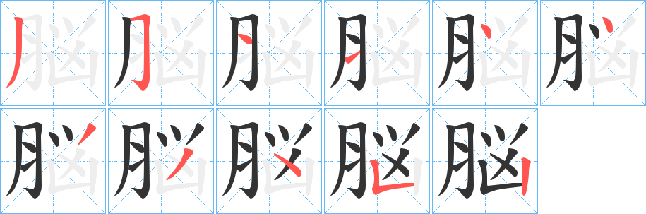 脳的笔顺