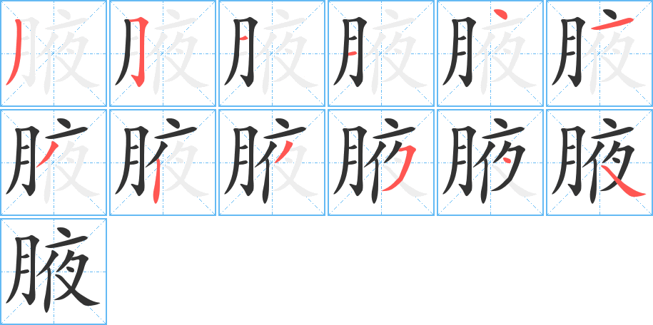 腋的笔顺