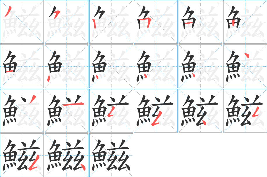 鰦的笔顺