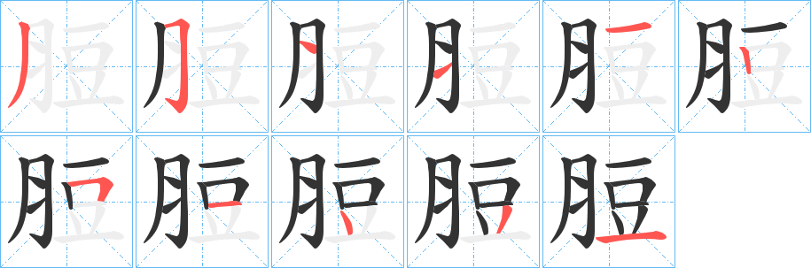 脰的笔顺