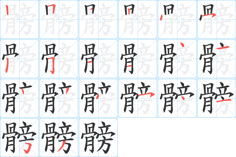 髈的笔顺