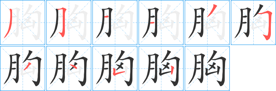 胸的笔顺