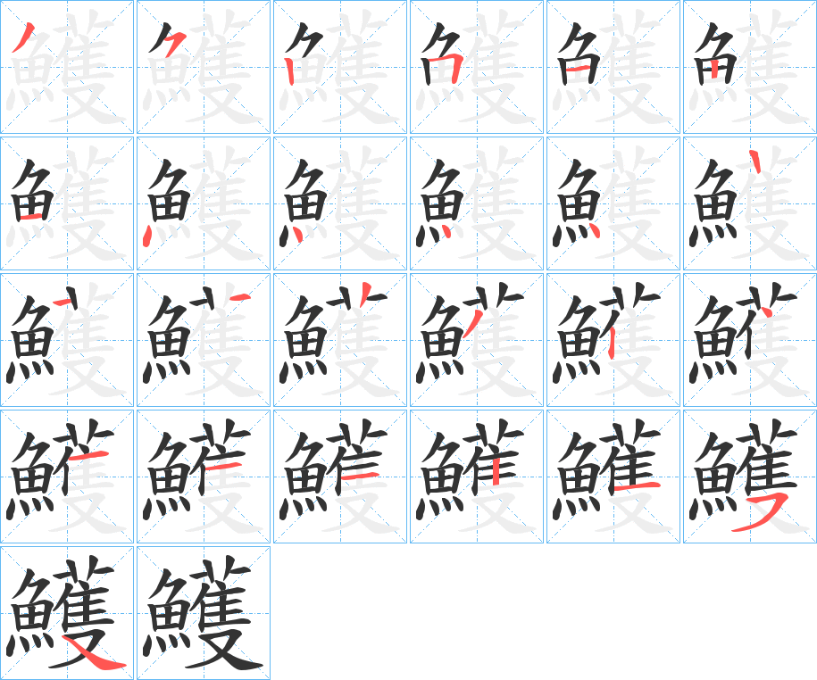鱯的笔顺