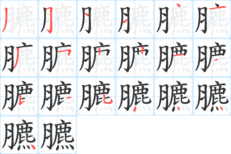 臕的笔顺