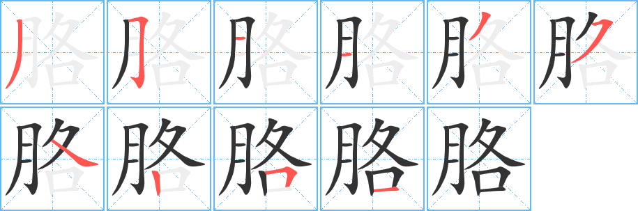 胳的笔顺