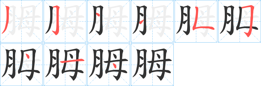 胟的笔顺