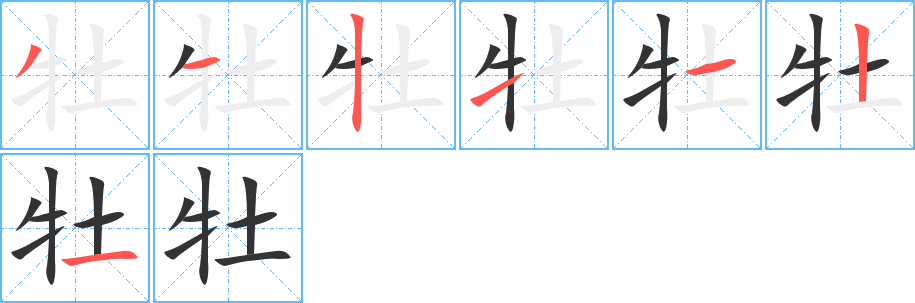 牡的笔顺