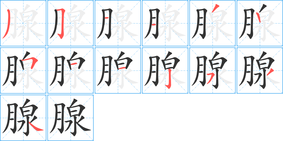 腺的笔顺