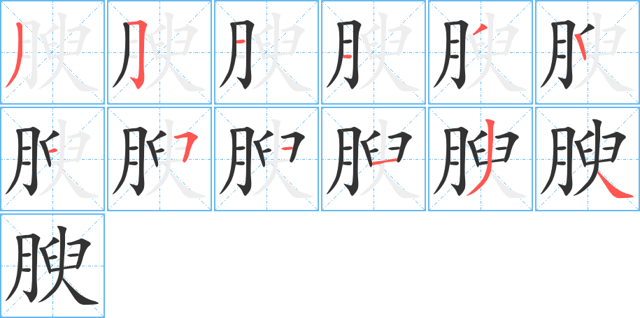腴的笔顺