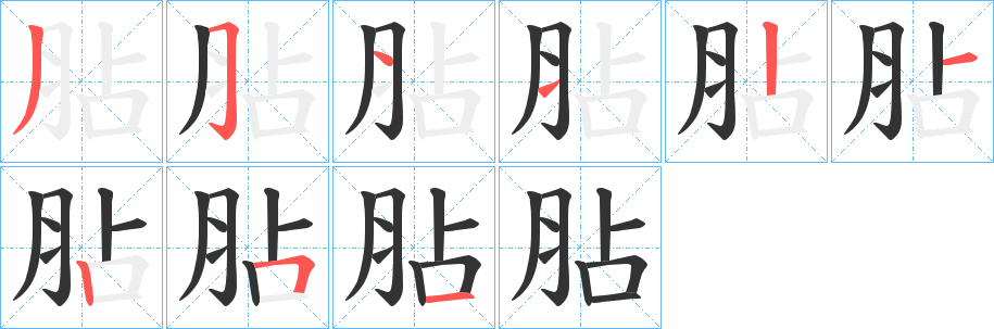 胋的笔顺