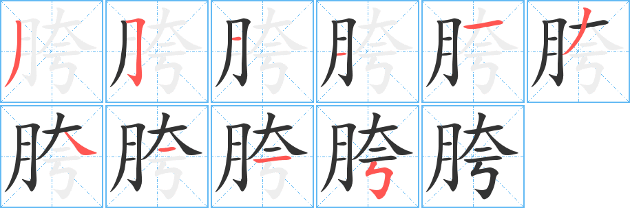 胯的笔顺