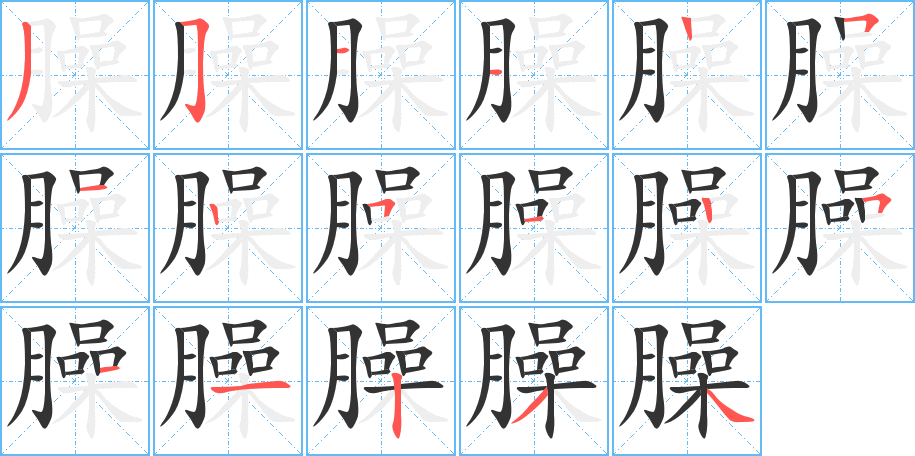 臊的笔顺
