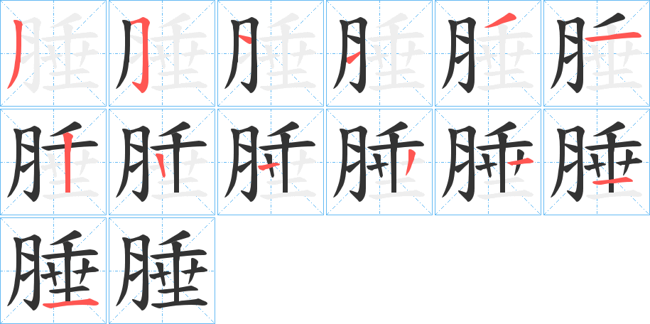 腄的笔顺
