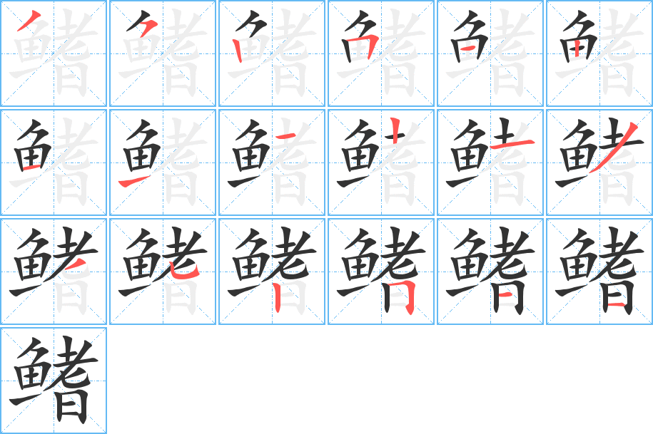 鳍的笔顺