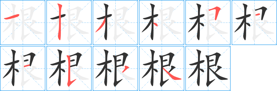 根的笔顺