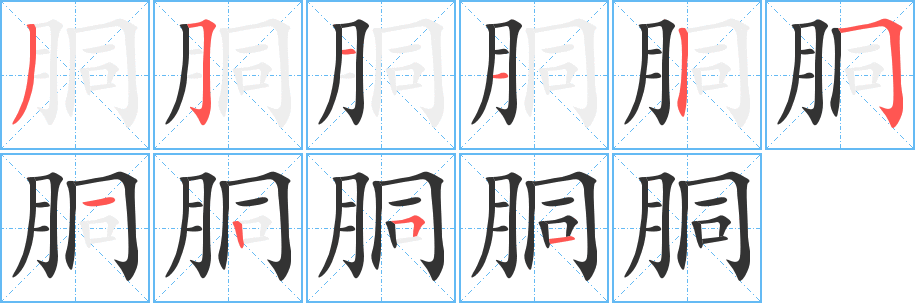 胴的笔顺
