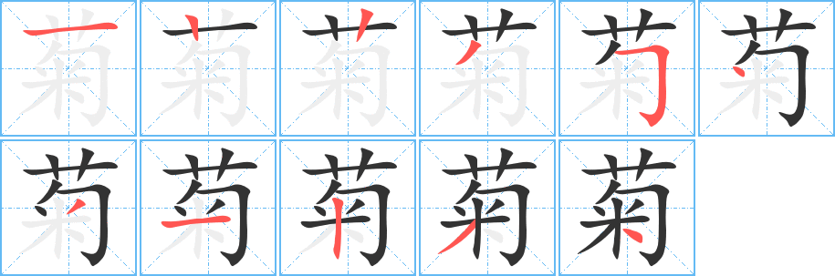 菊的笔顺