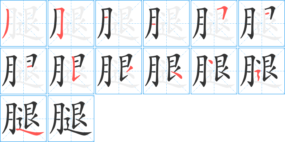 腿的笔顺