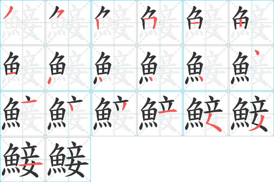 鯜的笔顺