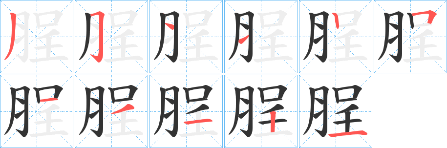 脭的笔顺