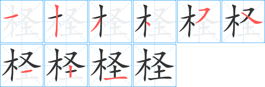 柽的笔顺