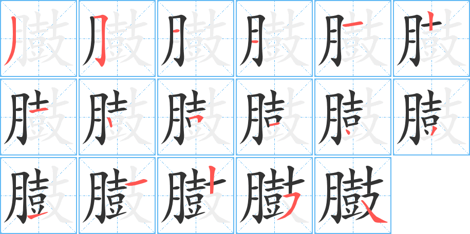 臌的笔顺