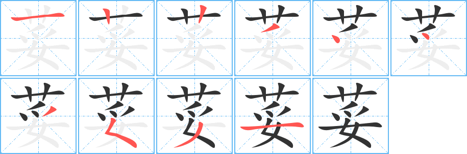 荽的笔顺
