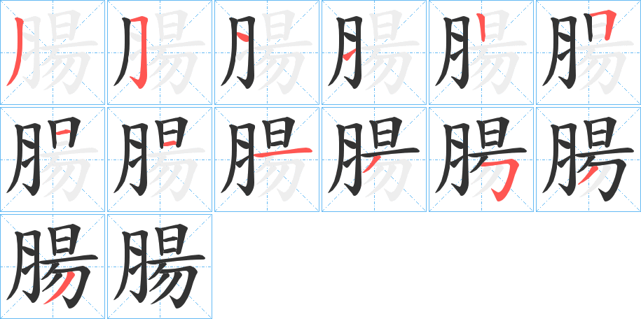 腸的笔顺