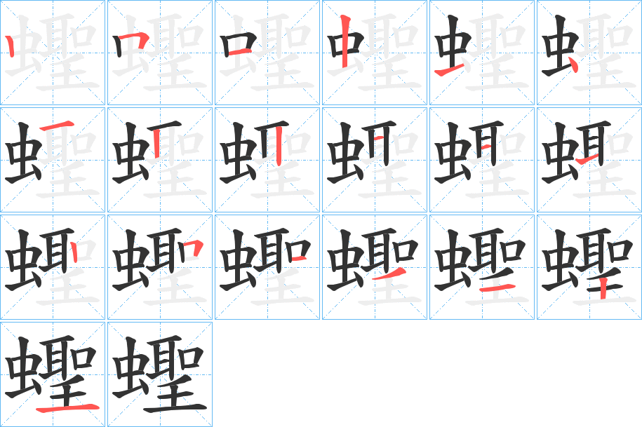 蟶的笔顺