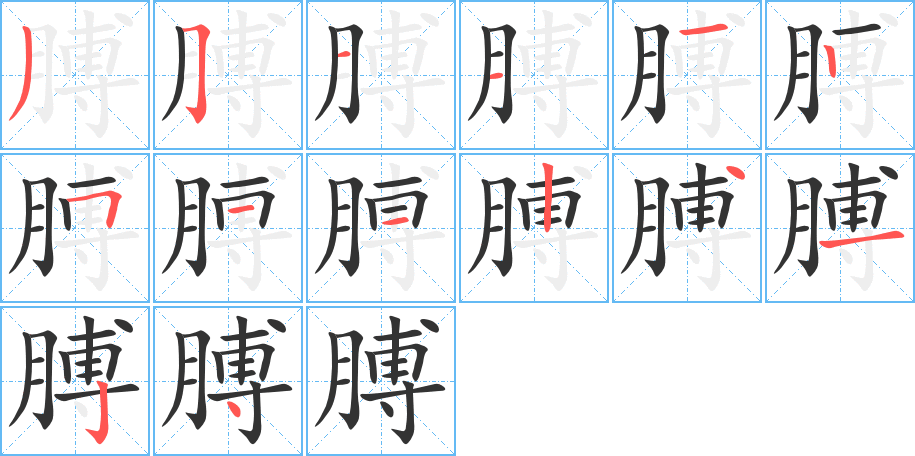 膊的笔顺
