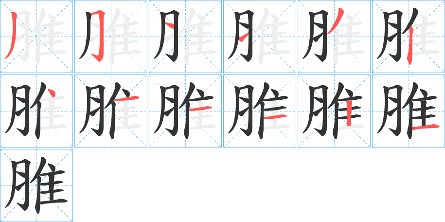 脽的笔顺