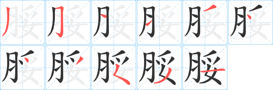 脮的笔顺
