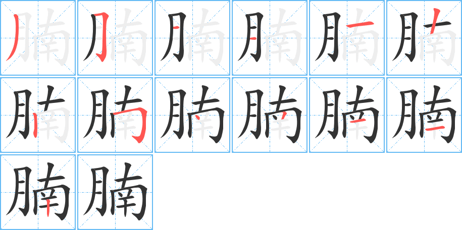腩的笔顺