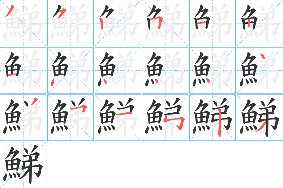 鮷的笔顺