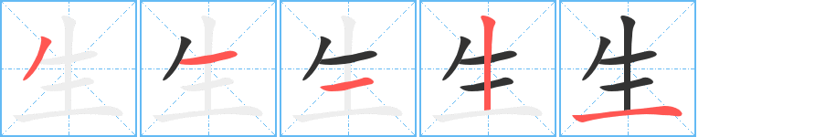 生的笔顺