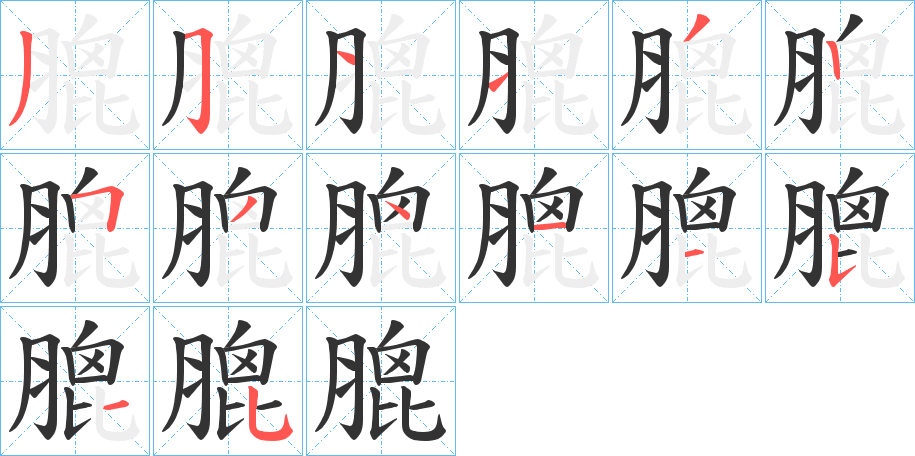 膍的笔顺