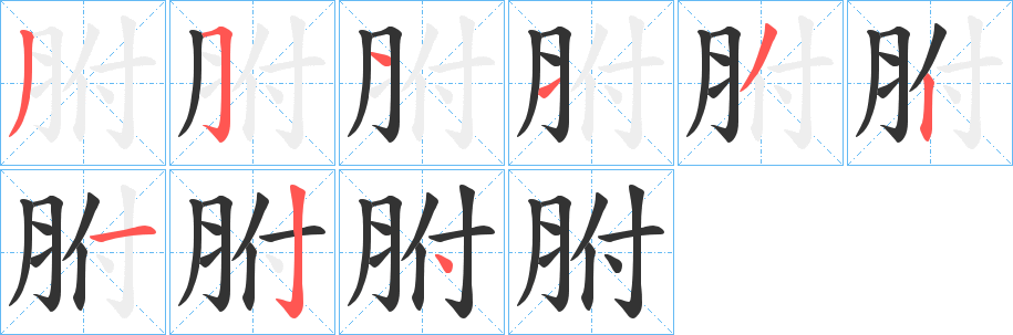 胕的笔顺