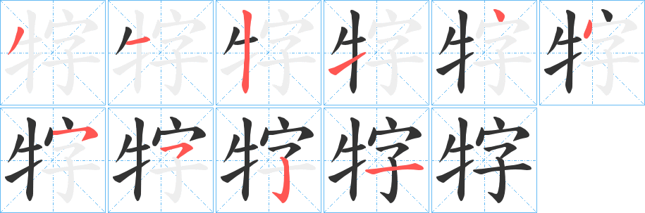 牸的笔顺