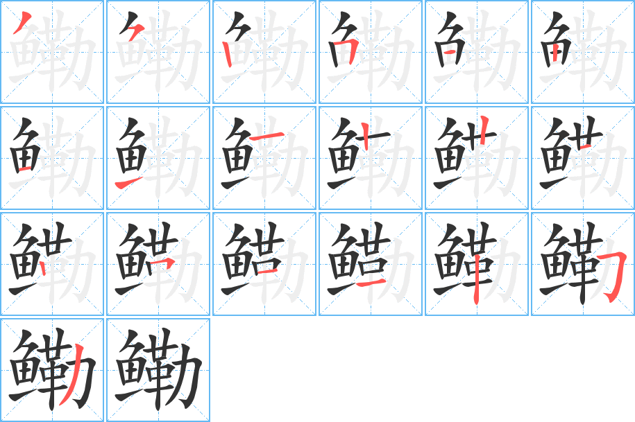 鳓的笔顺