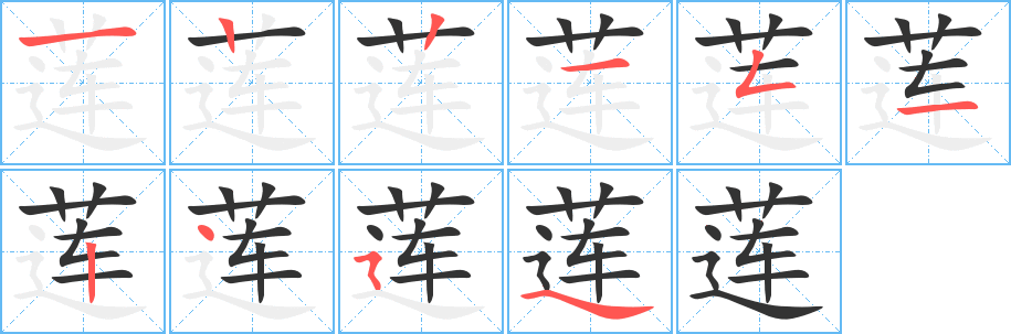 莲的笔顺