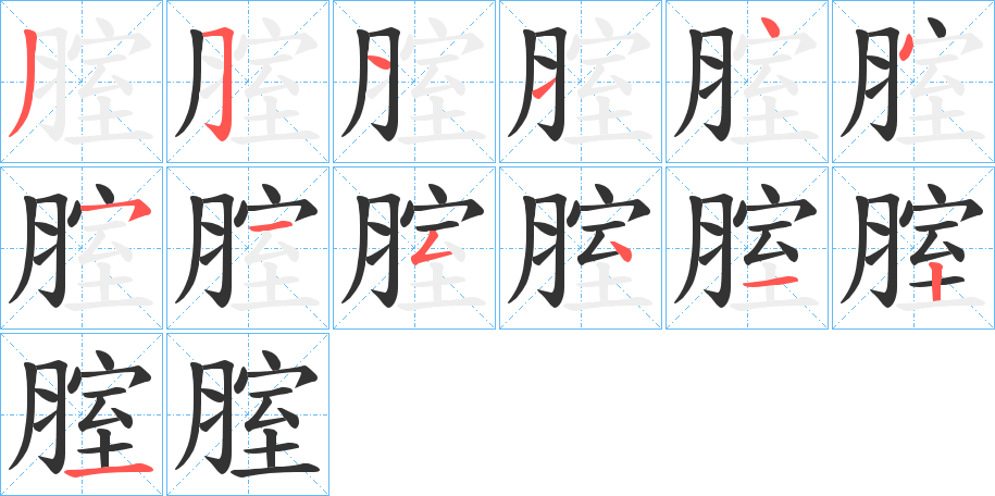 腟的笔顺