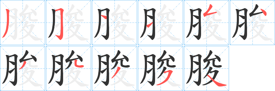 脧的笔顺