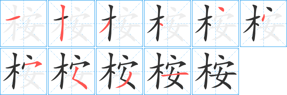 桉的笔顺