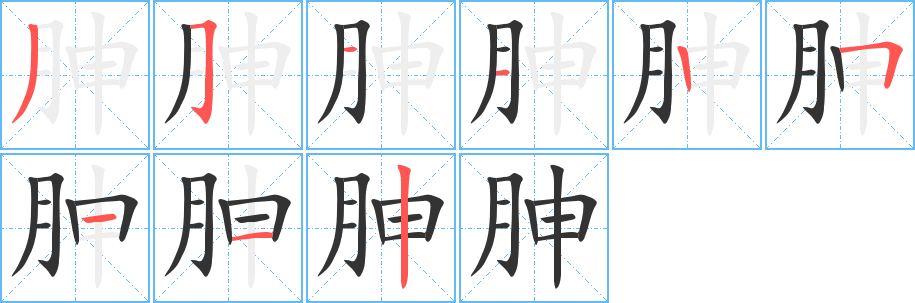 胂的笔顺