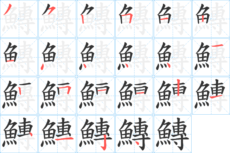 鱄的笔顺
