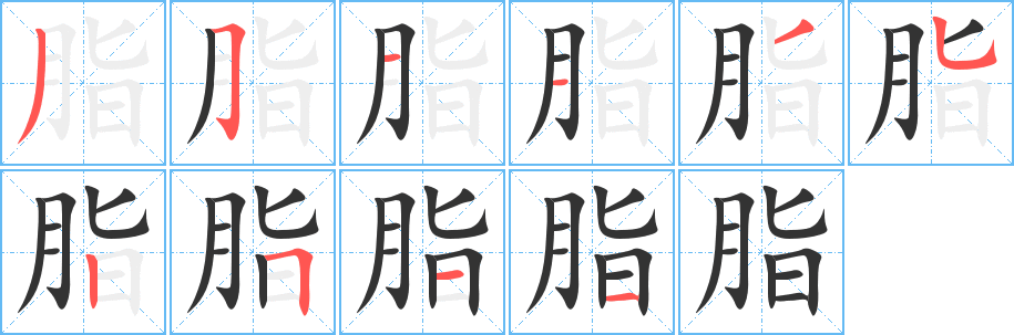 脂的笔顺