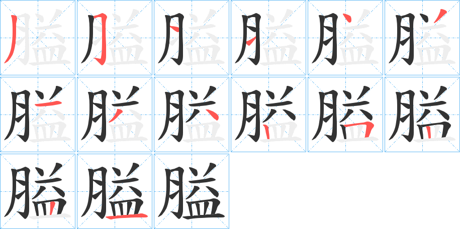 膉的笔顺